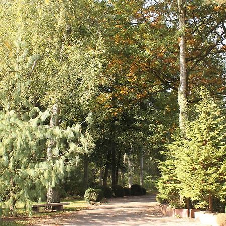 Crivitz Hotel Und Restaurant Waldschloesschen מראה חיצוני תמונה