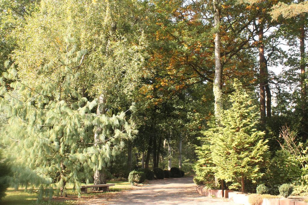 Crivitz Hotel Und Restaurant Waldschloesschen מראה חיצוני תמונה